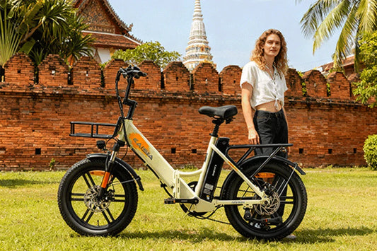 Kaisda electric bike rider standing beside bicycle on grassy field